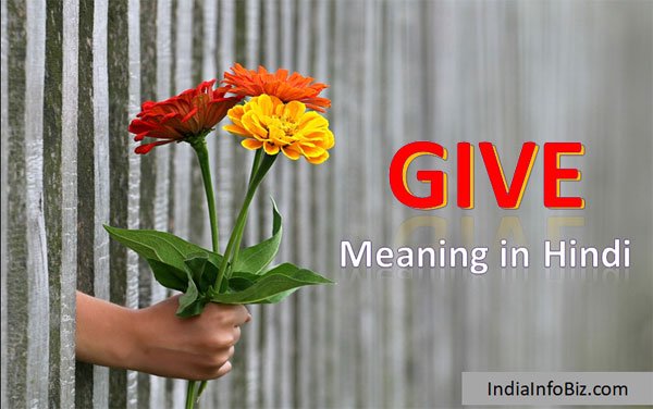 Give Meaning In Hindi English To Hindi Dictionary