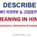 Describe Meaning in Hindi