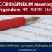 Corrigendum Meaning in Hindi